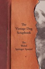 Vintage Dog Scrapbook - The Welsh Springer Spaniel
