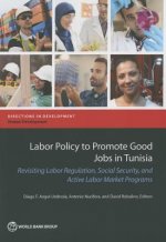 Labor policy to promote good jobs in Tunisia