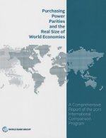 Purchasing power parities and the real size of world economies