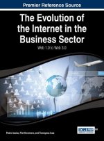 Evolution of the Internet in the Business Sector