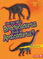 Can You Tell a Brachiosaurus from an Apatosaurus