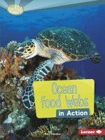 Ocean Food Webs in Action