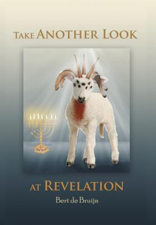 Take Another Look at Revelation