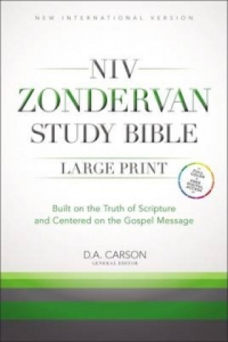 NIV Study Bible Large Print Hardback