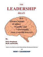 Leadership Brain