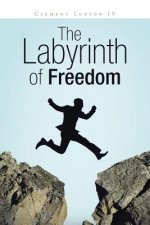 Labyrinth of Freedom