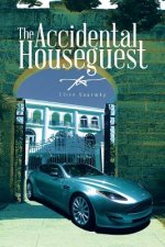 Accidental Houseguest