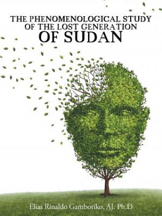 Phenomenological Study of the Lost Generation of Sudan