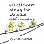 Wildflowers Along the Wayside