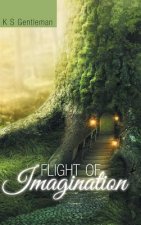 Flight of Imagination