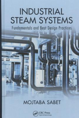 Industrial Steam Systems