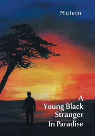 Young Black Stranger in Paradise