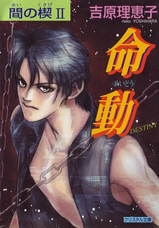 Ai No Kusabi The Space Between Volume 2: Destiny (Yaoi Novel)