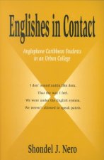 Englishes in Contact