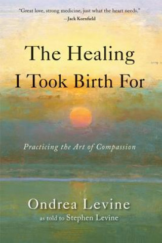 Healing I Took Birth for
