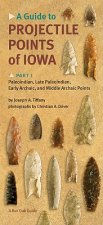 Guide to Projectile Points of Iowa Pt.1; Paleoindian, Late Paleoindian, Early Archaic, and Middle Archaic Points