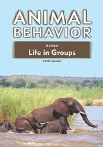 Animal Life in Groups