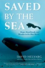 Saved by the Sea