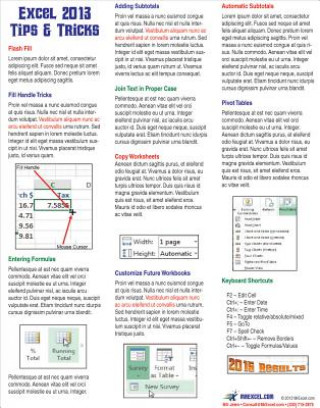 Excel 2013 Laminated Tip Card