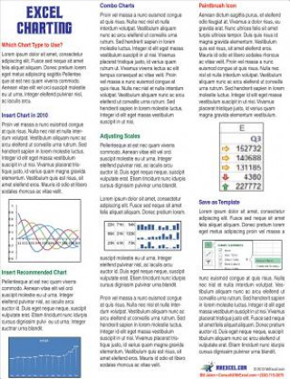 Excel Charting Laminated Tip Card