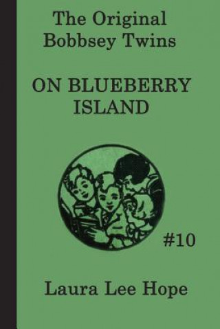 Bobbsey Twins on Blueberry Island