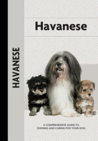 Havanese (Comprehensive Owner's Guide)