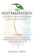 Revitalization of the African-American Baptist Church, Association and Convention