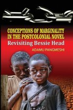 Conceptions of Marginality in the Postcolonial Novel