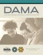 Version en espanol de la Guia DAMA de los fundamentos para la gestion de datos (DAMA-DMBOK)