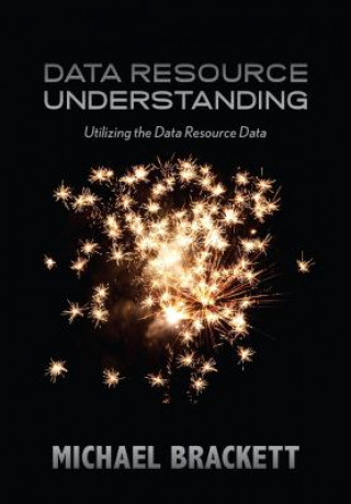 Data Resource Understanding