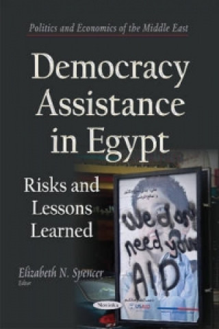 Democracy Assistance in Egypt