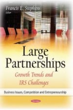 Large Partnerships