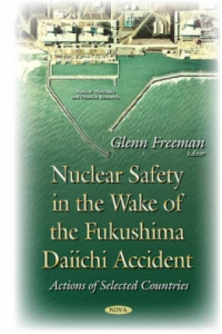Nuclear Safety in the Wake of the Fukushima Daiichi Accident