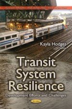 Transit System Resilience