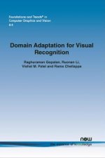 Domain Adaptation for Visual Recognition
