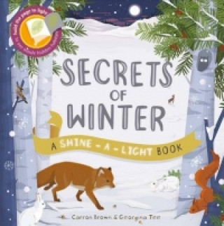 Secrets of Winter: Hold the Page to the Light to See Inside Hidden Habitats