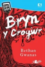 Stori Sydyn: Bryn y Crogwr