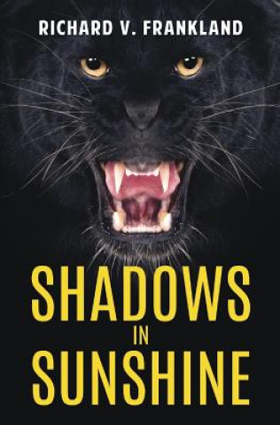 Shadows in Sunshine