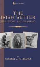 Irish Setter - Its History & Training (A Vintage Dog Books Breed Classic)