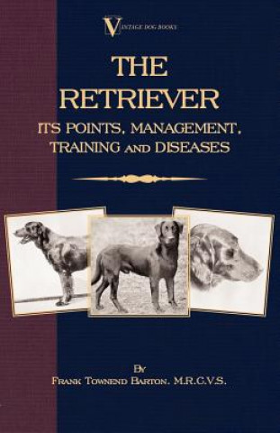 Retriever