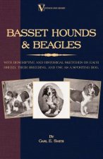 Basset Hounds and Beagles