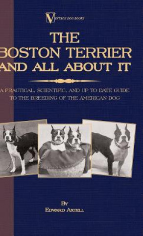 Boston Terrier And All About It - A Practical, Scientific, And Up To Date Guide To The Breeding Of The American Dog (A Vintage Dog Books Breed Classic