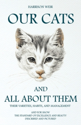 Our Cats And All About Them