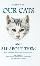 Our Cats And All About Them