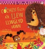 Cochen Fach a'r Llew Llwglyd Iawn/Little Red and the Very Hungry Lion