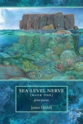 Sea-Level Nerve