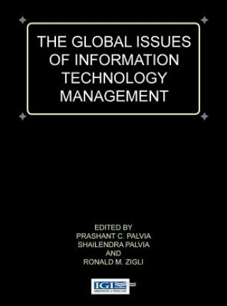 Global Issues of Information Technology Management
