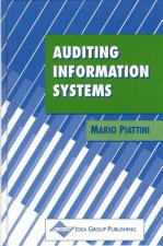 Auditing Information Systems