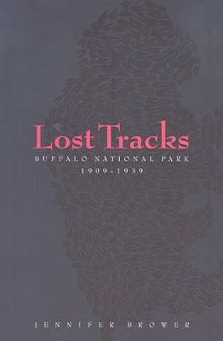 Lost Tracks