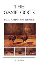 Game Cock - Being a Practical Treatise on Breeding, Rearing, Training, Feeding, Trimming, Mains, Heeling, Spurs, Etc. (History of Cockfighting Series)